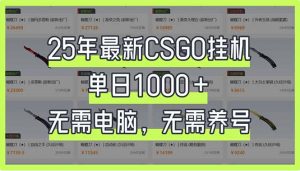 25年最新CSGO挂机系统，单日1000+，无需电脑，无需养号，0基础可上手-识享社