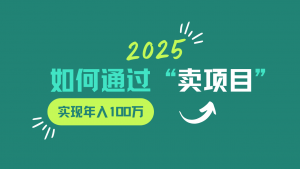 2025年如何通过“卖项目”实现年入100w-识享社