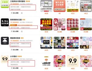 0成本虚拟项目实战手把手教你落地，单店月入5k-识享社