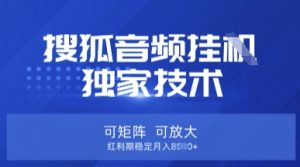 【搜狐音频挂G】独家技术,可矩阵可放大,红利期稳定月入8k【揭秘】-识享社
