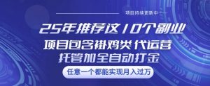 25年推荐这10个副业项目包含褂鸡类、代运营托管类、全自动打金类【揭秘】-识享社