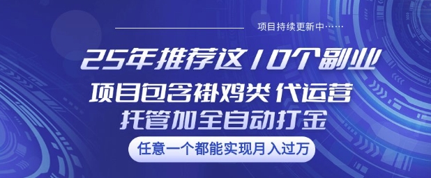 25年推荐这10个副业项目包含褂鸡类、代运营托管类、全自动打金类【揭秘】 - 识享社-识享社