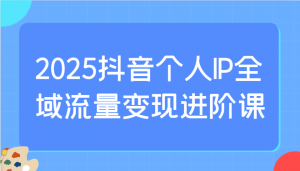 2025抖音个人IP全域流量变现进阶课:选爆品、抖音付费投流、千川投流实操及优化等-识享社