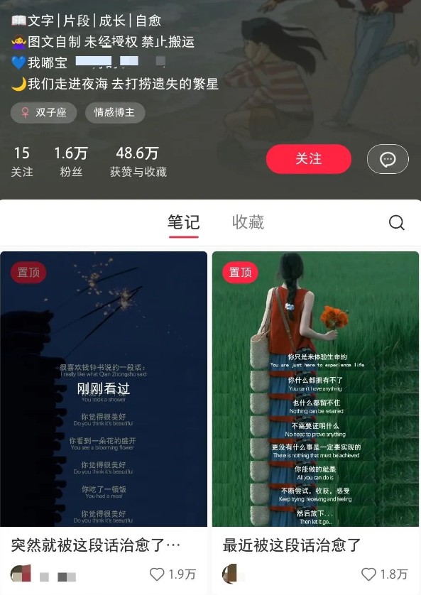 小红书治愈文案图文笔记,零门槛,一分钟制作轻松制作爆款作品月入万元 - 识享社-识享社
