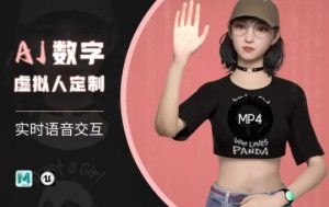 Ai数字人虚拟(智能体)实时语音交互特训营,自行定制超写实角色AI数字人交互技术-识享社