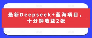 最新Deepseek+蓝海项目，十分钟收益2张-识享社