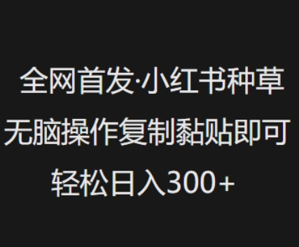 全网首发，小红书种草无脑操作，复制黏贴即可，轻松日入3张 - 识享社-识享社
