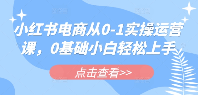 小红书电商从0-1实操运营课,0基础小白轻松上手 - 识享社-识享社