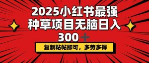 2025小红书最强种草项目，无脑日入300+，复制粘帖即可，多劳多得-识享社