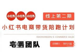 小红书电商带货课2期，月利润20个的小红书电商的有货源，无货源，虚拟产品，付费投流等整套玩法-识享社