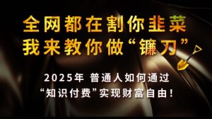 全网都在割你韭菜，我来教你做镰刀,2025普通人如何通过知识付费，实现财F自由【揭秘】-识享社