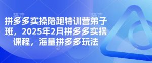 拼多多实操陪跑特训营弟子班，2025年2月拼多多实操课程，海量拼多多玩法-识享社