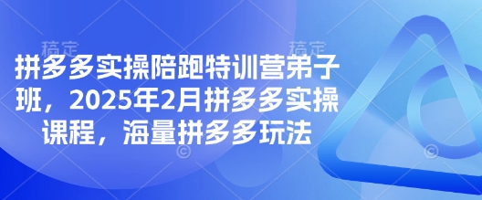 拼多多实操陪跑特训营弟子班，2025年2月拼多多实操课程，海量拼多多玩法 - 识享社-识享社