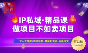 2025年“IP私域·密训精品课”,日赚3000+小白避坑年赚百万,暴力引流...-识享社