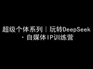 超级个体系列，玩转DeepSeek·自媒体IP训练营，deepseek教程-识享社