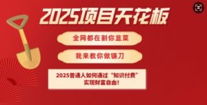 2025项目天花板普通人如何通过知识付费,实现财F自由【揭秘】-识享社