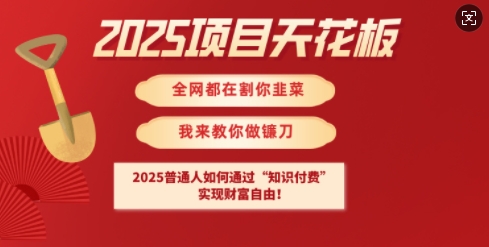 2025项目天花板普通人如何通过知识付费，实现财F自由【揭秘】 - 识享社-识享社