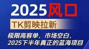 2025风口TK剪映capcut拉新项目，极限高客单，市场空白，2025下半年真正的蓝海项目-识享社