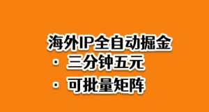海外ip全自动掘金,2025必做蓝海项目,3分钟落地,矩阵直接开干【揭秘】-识享社