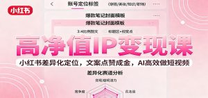 高净值IP变现课：小红书差异化定位，文案点赞成金， AI高效做短视频-识享社