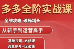 大炮·拼多多全阶实战课程(更新10月)-识享社