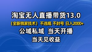 淘宝无人直播13.0,公域私域技术,不封号,不违规 布局下半年旺季赛道,日入2000+-识享社