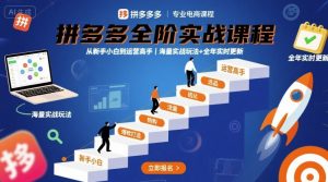 拼多多全阶实战课程,从新手小白到运营高手,海量实战玩法+全年实时更新【2025年10月更新】-识享社