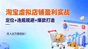 淘宝虚拟店铺盈利实战:定位+违规规避+爆款打造,月入过万很轻松!-识享社