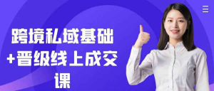 怎么做跨境私域?基础+晋级线上成交课:打通海外引流、本土化沟通、分层运营全链路-识享社