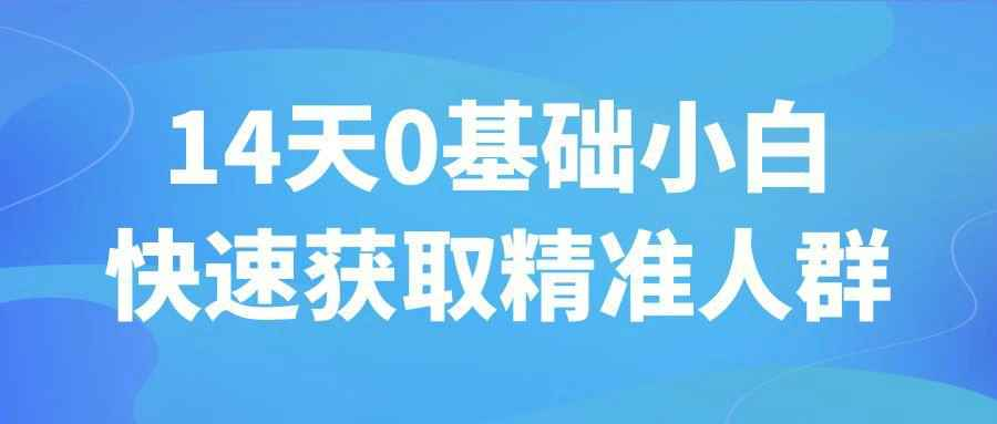 14天精准获客教程：0基础小白快速获取目标人群，掌握引流钩子与社群裂变
