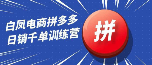 白凤电商拼多多日销千单训练营-识享社