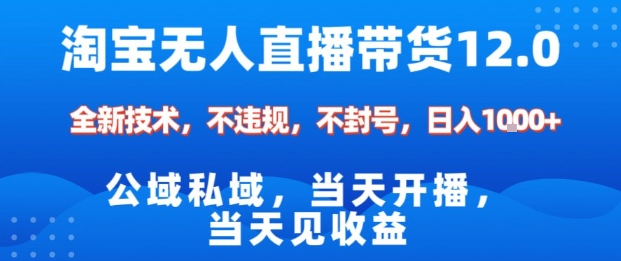 淘宝无人直播12.0,公域私域技术,不封号,不违规布局双十一流量风口,日入1k(独家技术)【揭秘】 - 识享社-识享社