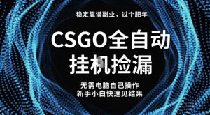 【稳定副业】全球最热门游戏CSGO全自动捡漏，最新玩法，新手小白日入5张+【揭秘】-识享社