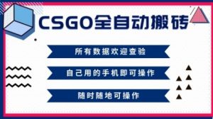 CSGO全自动搬砖，年底钱回家好项目，当天可拿到结果，新手小白轻松月入1W+【揭秘】-识享社
