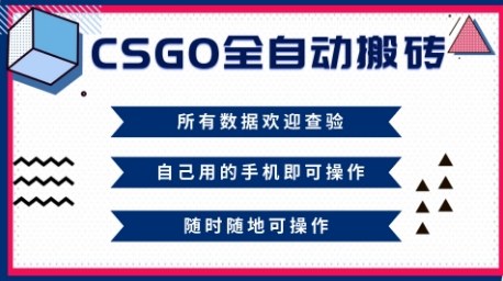 CSGO全自动搬砖,年底钱回家好项目,当天可拿到结果,新手小白轻松月入1W+【揭秘】 - 识享社-识享社