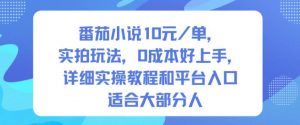 番茄小说10米每单,实拍玩法,0成本好上手,详细实操教程和平台入口适合大部分人-识享社