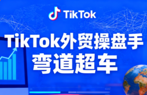 TikTok外贸操盘手(更新11月)-识享社