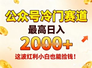 公众号冷门赛道，最高日入1k+，这波红利小白也能捡钱！-识享社