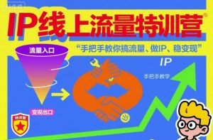 IP线上流量特训营，手把手教你搞流量、做IP、稳变现-识享社