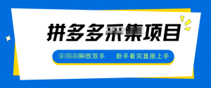 拼多多电商采集，一小时50+，操作简单，零投资-识享社