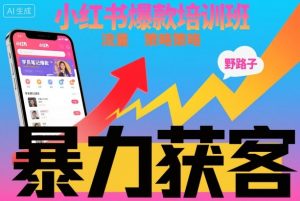 小红书爆款培训班，小红书获客野路子流量打法，暴力持续获客-识享社