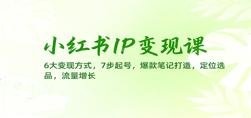 小红书IP变现课:6大变现方式,7步起号,爆款笔记打造,定位选品,流量增长 - 识享社-识享社
