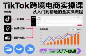 TikTok跨境电商实操课，从入门到精通的全实操流程-识享社