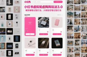 小红书虚拟矩阵玩法3.0，铺货铺笔记型打法，少款狂怼笔记型打法-识享社