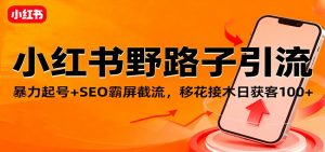 小红书野路子引流，暴力起号+SEO霸屏截流，移花接木日获客100+-识享社
