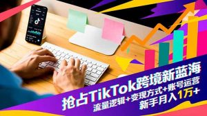 抢占TikTok跨境新蓝海：流量逻辑+变现方式+账号运营，新手月入1万+-识享社