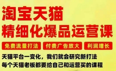 淘宝天猫精细化爆品运营课，免费流量打法-付费广告放大-利润增长-三大核心痛点，一次全部解决-识享社