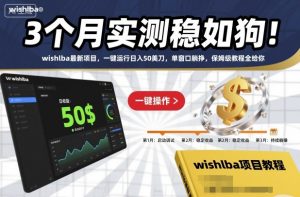 3个月实测稳如狗！wishlba最新项目，一键运行日入50美刀，单窗口躺挣，保姆级教程全给你【揭秘】-识享社