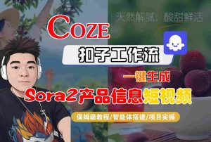 Coze扣子智能体工作流一键生成“SORA2产品信息“短视频，全流程保姆级教学-识享社