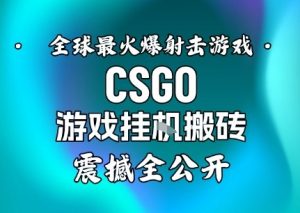【年底大揭秘】基于全球最火爆的射击CSGO游戏挂G搬砖，日入5张+，震撼公开-识享社